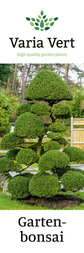 Gartenbonsai